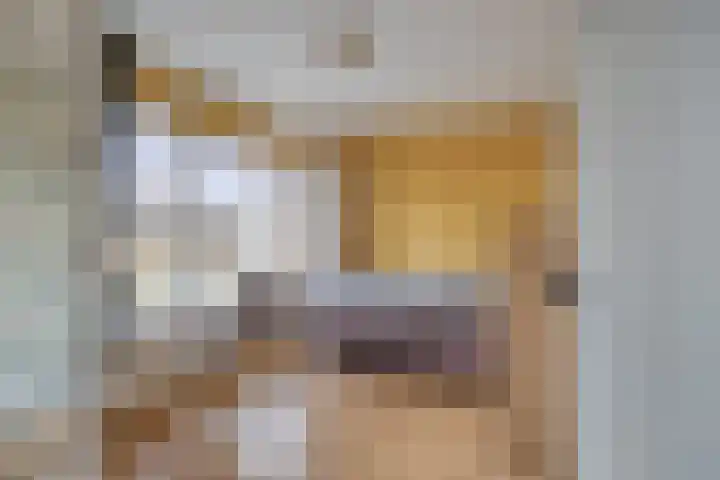 Kievitstraat 21 Goor thumbnail 17