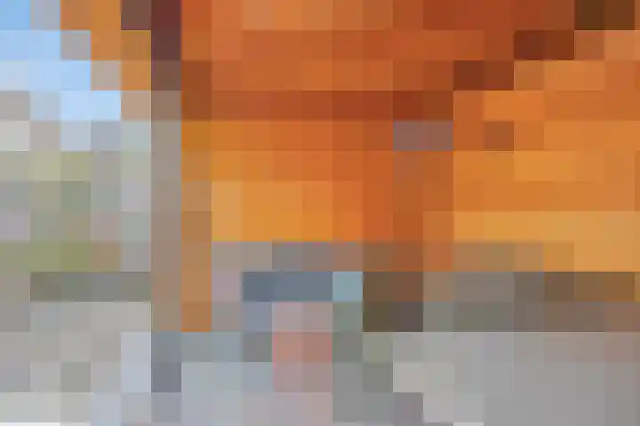 Kievitstraat 21 Goor thumbnail 22