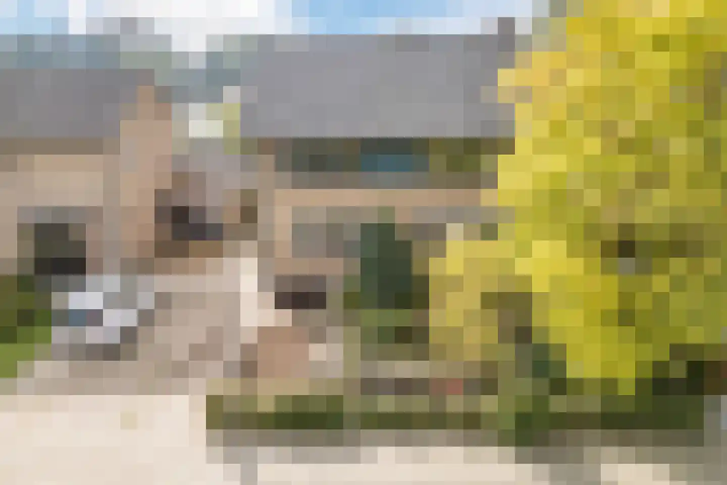 Kievitstraat 22 Delden thumbnail 10