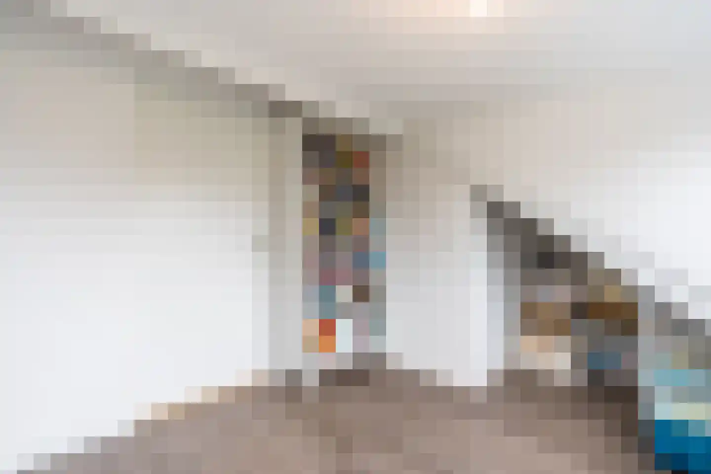 Kievitstraat 22 Delden thumbnail 47