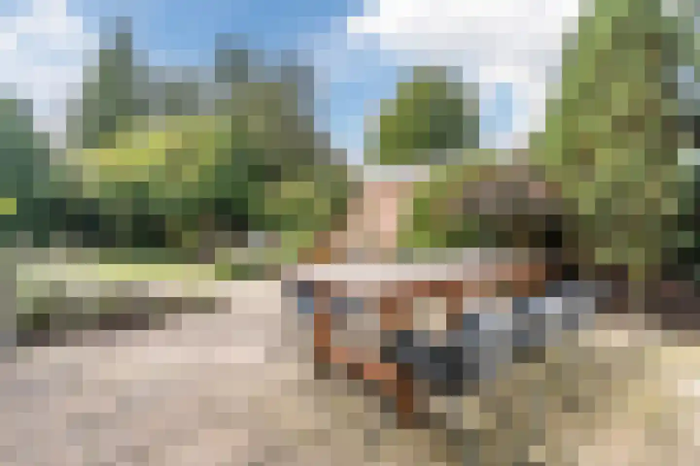 Kievitstraat 22 Delden thumbnail 64
