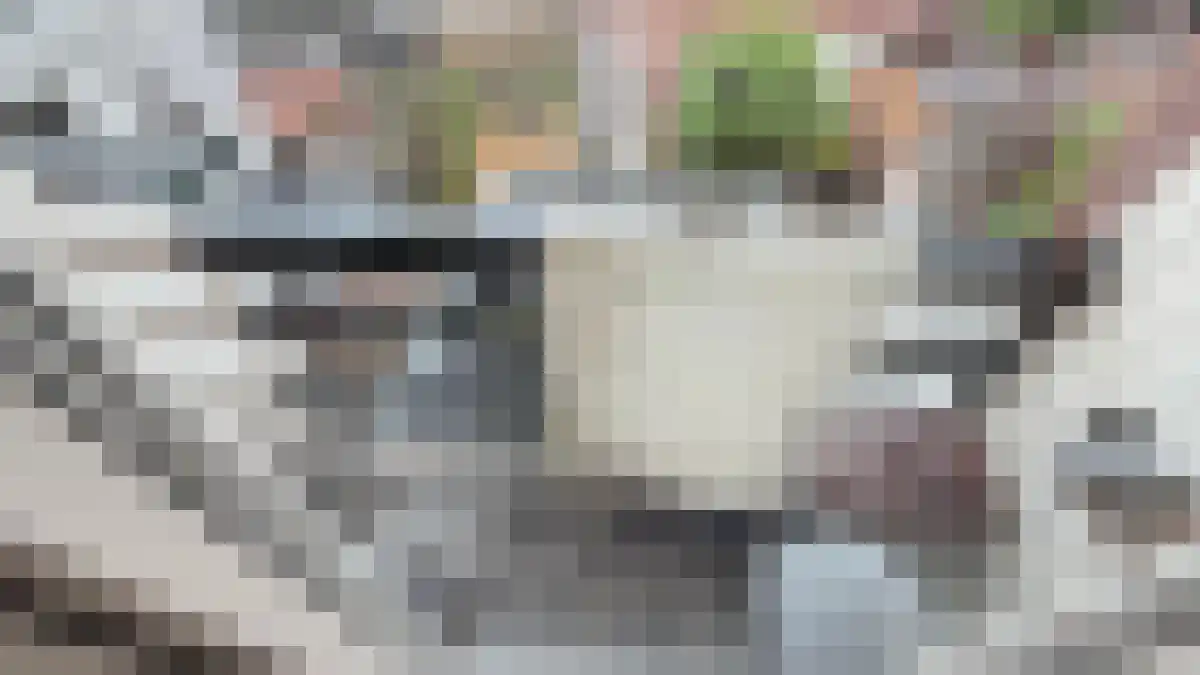 Kievitstraat 23 2 Utrecht thumbnail 4