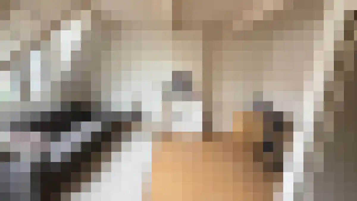 Kievitstraat 23 2 Utrecht thumbnail 6