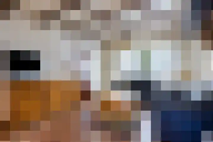 Kievitstraat 23 Geldrop thumbnail 14