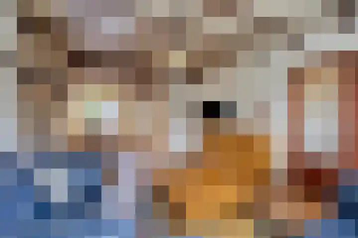 Kievitstraat 23 Geldrop thumbnail 15