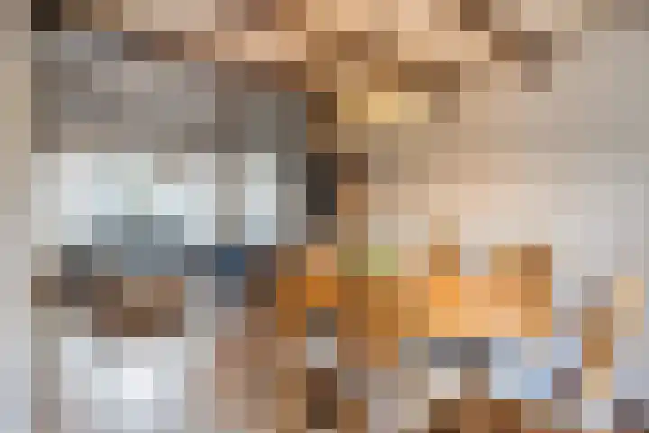 Kievitstraat 23 Geldrop thumbnail 17