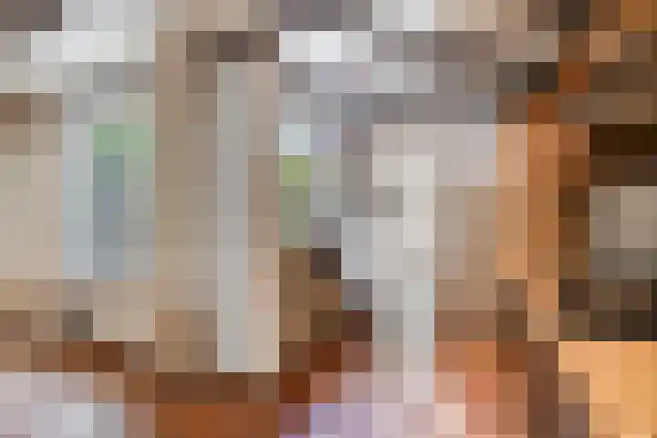 Kievitstraat 23 Geldrop thumbnail 18