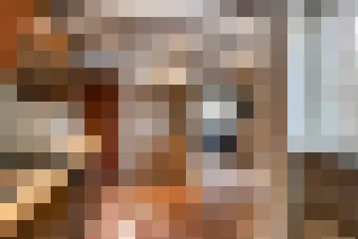 Kievitstraat 23 Geldrop thumbnail 19
