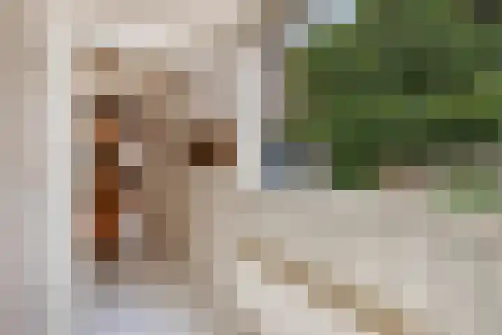 Kievitstraat 23 Geldrop thumbnail 21