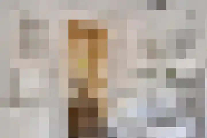 Kievitstraat 23 Geldrop thumbnail 25