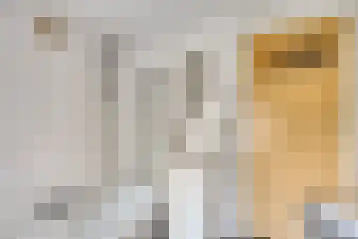 Kievitstraat 23 Geldrop thumbnail 26