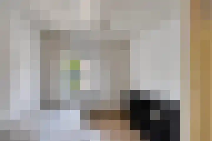 Kievitstraat 23 Geldrop thumbnail 29