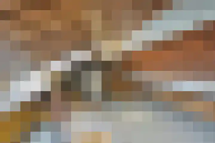 Kievitstraat 23 Geldrop thumbnail 31