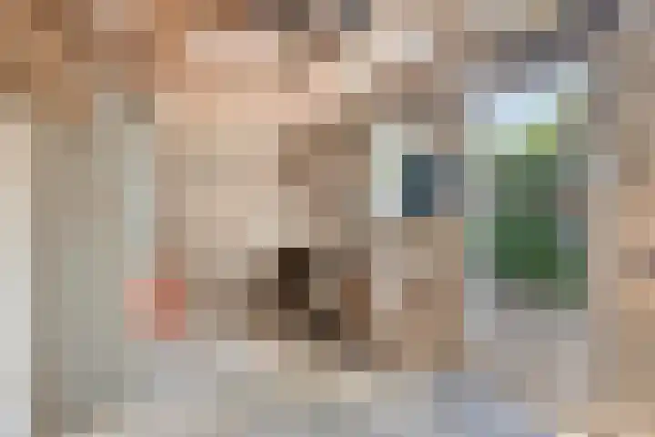 Kievitstraat 23 Geldrop thumbnail 32