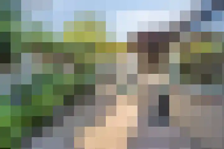 Kievitstraat 23 Geldrop thumbnail 33