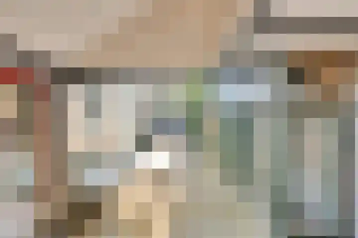 Kievitstraat 23 Geldrop thumbnail 34