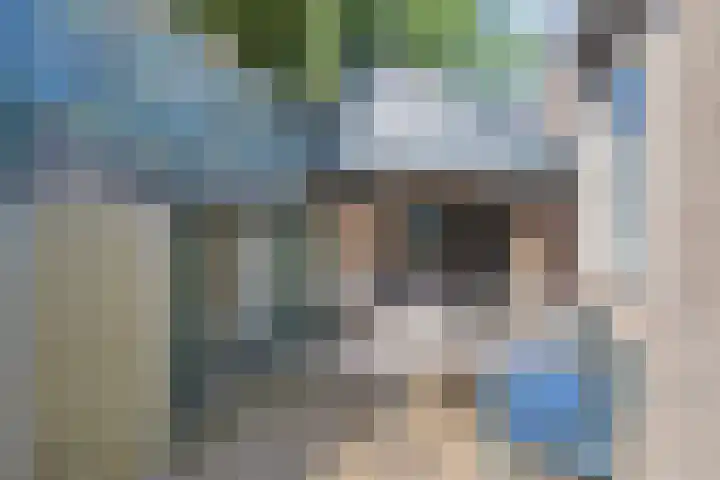 Kievitstraat 23 Geldrop thumbnail 35
