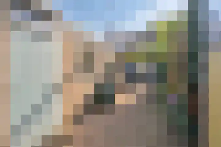 Kievitstraat 23 Geldrop thumbnail 36