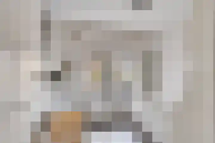 Kievitstraat 23 Geldrop thumbnail 5