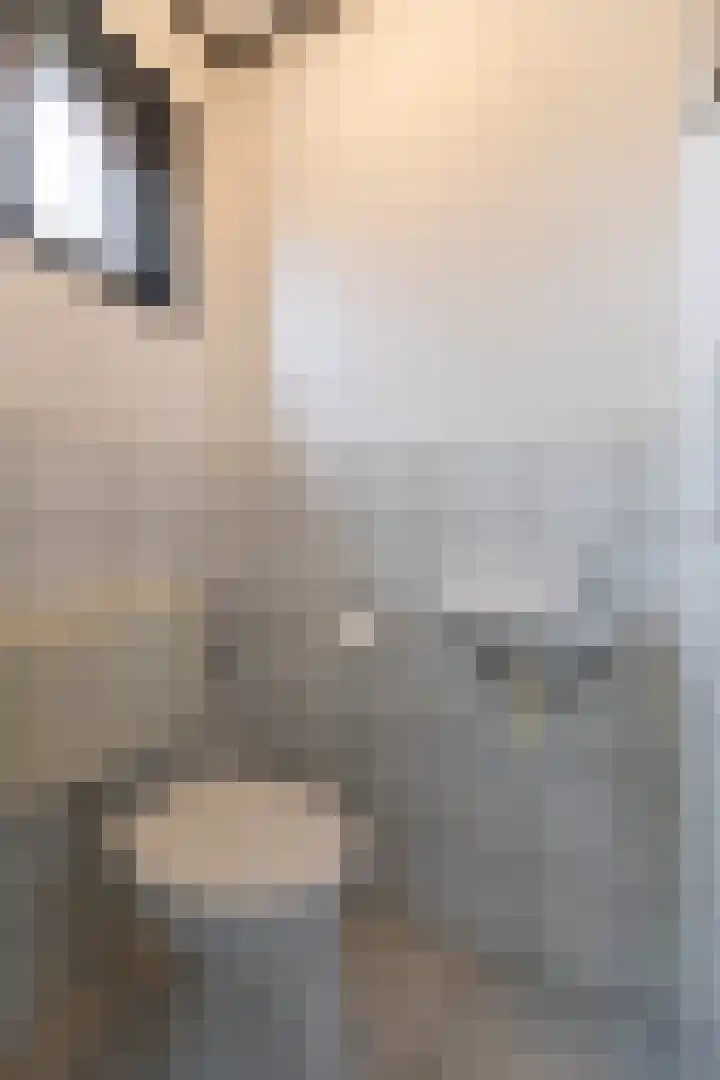 Kievitstraat 24 Overasselt thumbnail 13