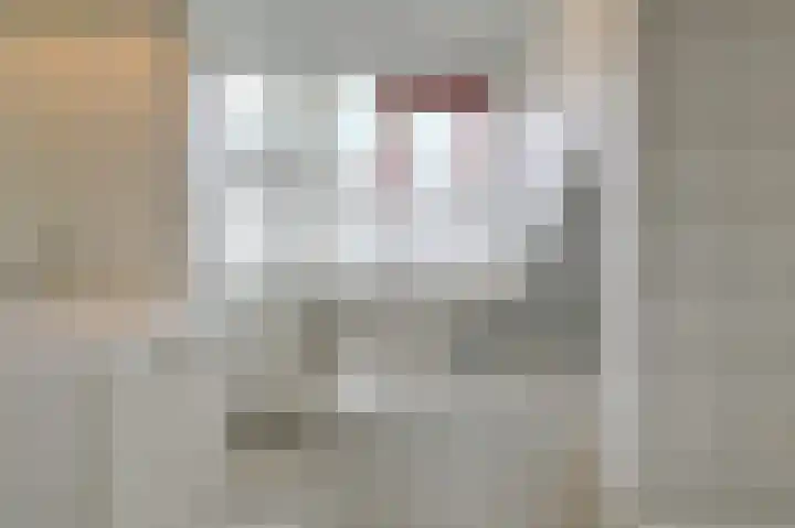 Kievitstraat 24 Overasselt thumbnail 18