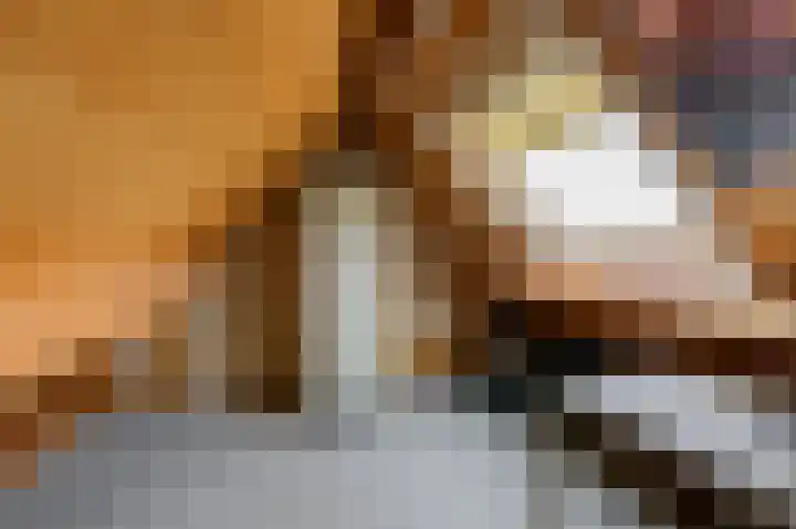 Kievitstraat 24 Overasselt thumbnail 25