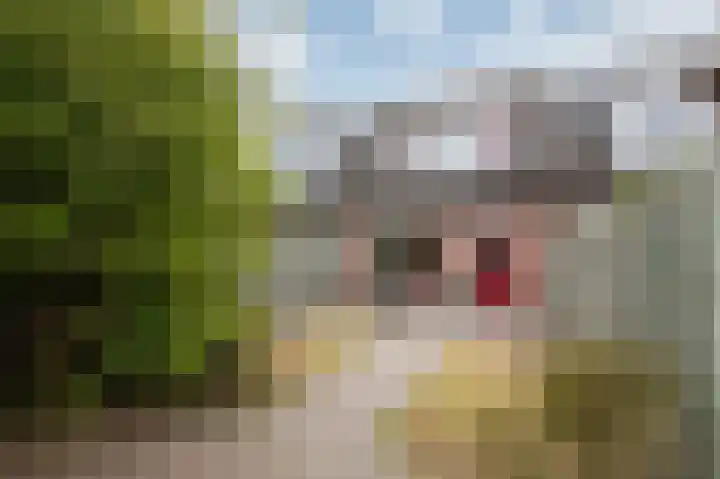 Kievitstraat 24 Overasselt thumbnail 27