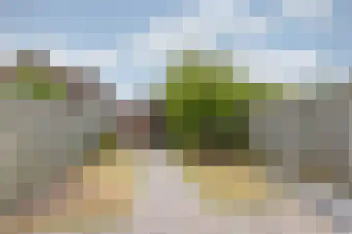 Kievitstraat 24 Overasselt thumbnail 31