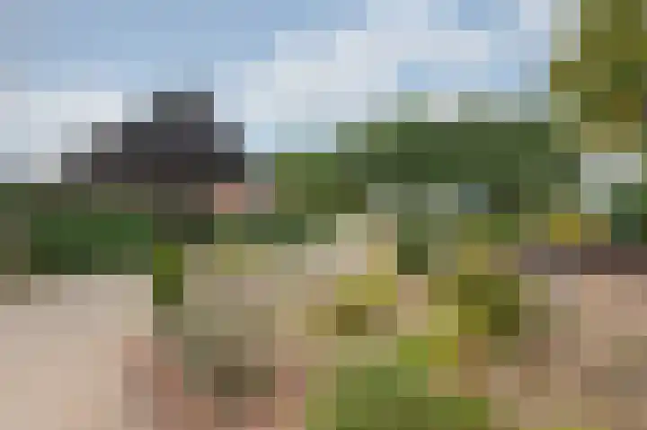 Kievitstraat 24 Overasselt thumbnail 34
