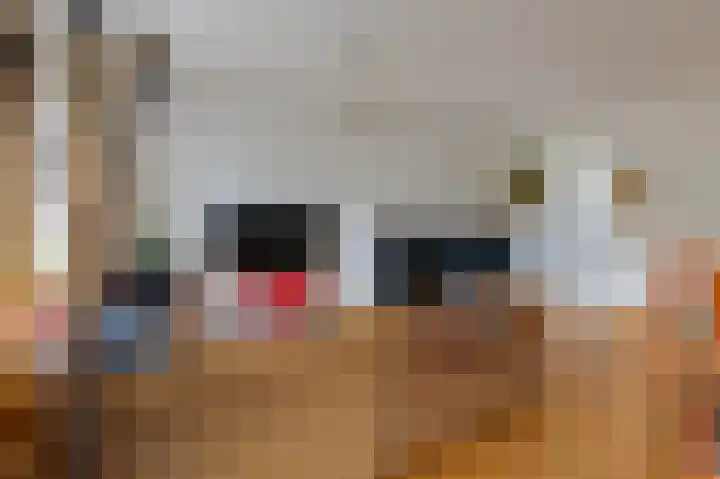 Kievitstraat 24 Overasselt thumbnail 6