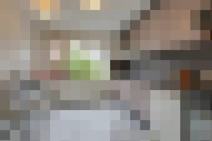 Kievitstraat 24 Overasselt thumbnail 8