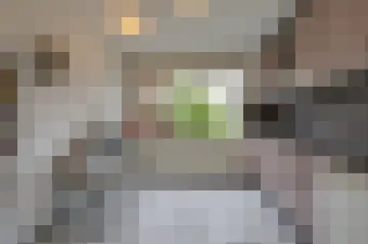 Kievitstraat 24 Overasselt thumbnail 9