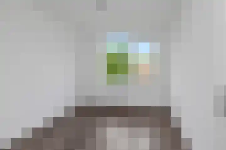 Kievitstraat 26 Anna Paulowna thumbnail 18