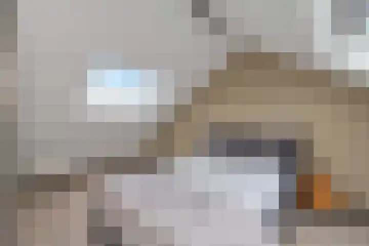 Kievitstraat 26 Anna Paulowna thumbnail 27