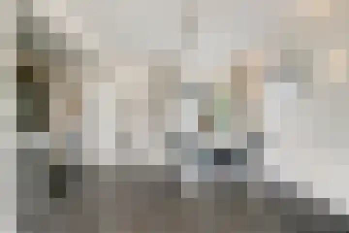 Kievitstraat 26 Helmond thumbnail 9