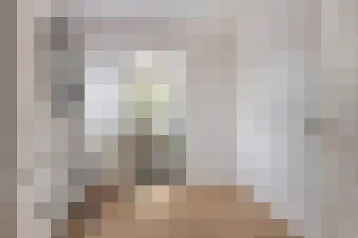 Kievitstraat 26 Zierikzee thumbnail 20
