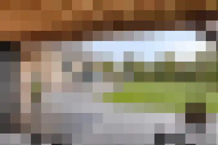 Kievitstraat 26 Zierikzee thumbnail 42