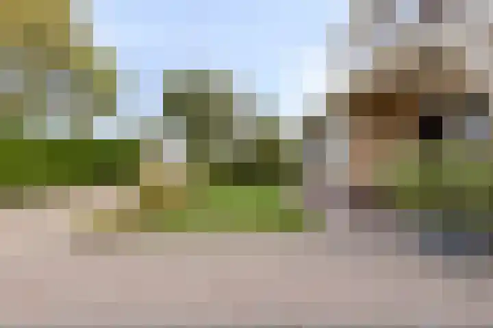 Kievitstraat 26 Zierikzee thumbnail 47