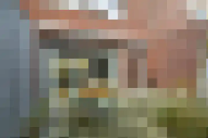 Kievitstraat 27 Breda thumbnail 30