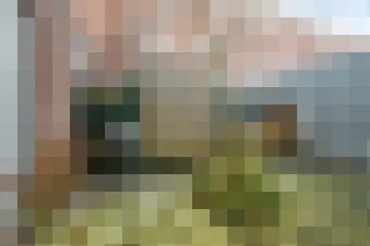Kievitstraat 27 Breda thumbnail 32