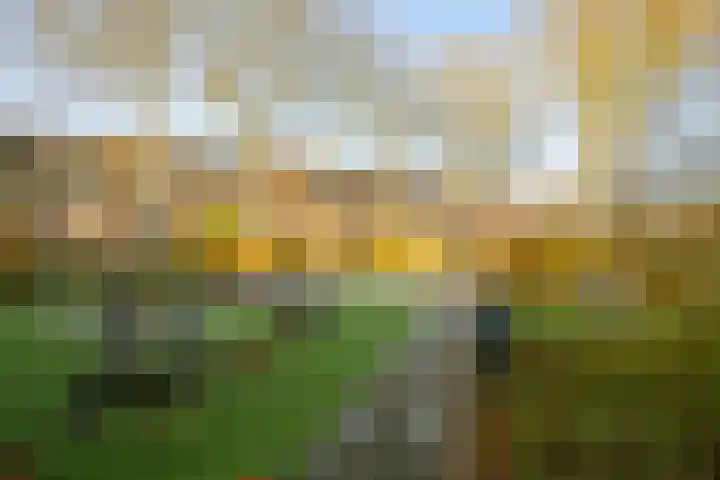 Kievitstraat 27 Breda thumbnail 64