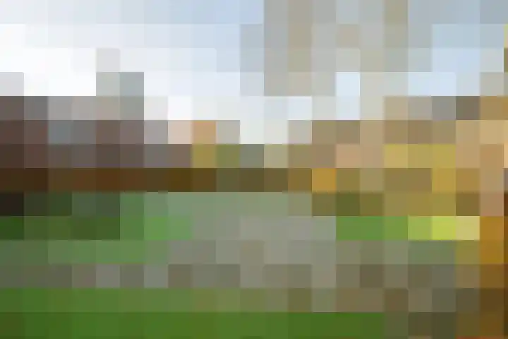 Kievitstraat 27 Breda thumbnail 66