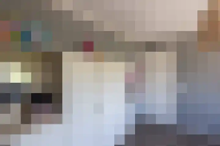 Kievitstraat 27 Neede thumbnail 24