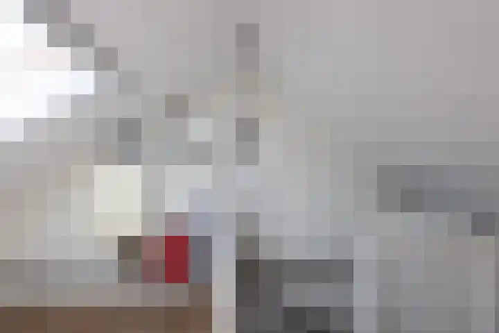 Kievitstraat 27 Neede thumbnail 29