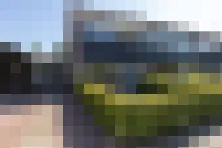 Kievitstraat 27 Neede thumbnail 38