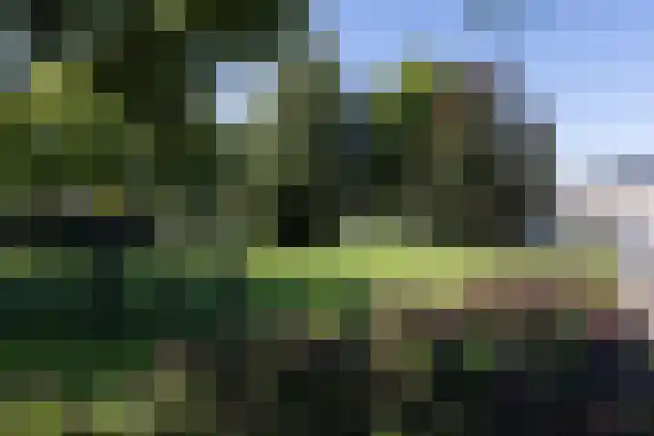 Kievitstraat 27 Neede thumbnail 40