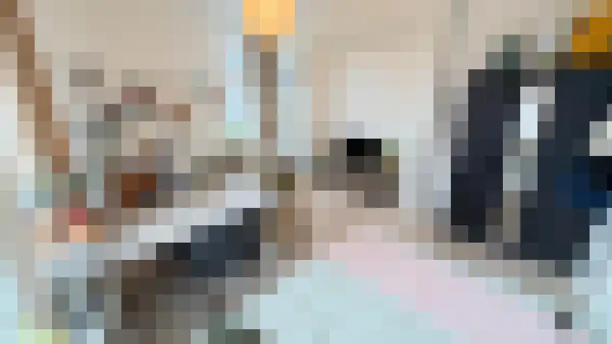 Kievitstraat 27 Utrecht thumbnail 5