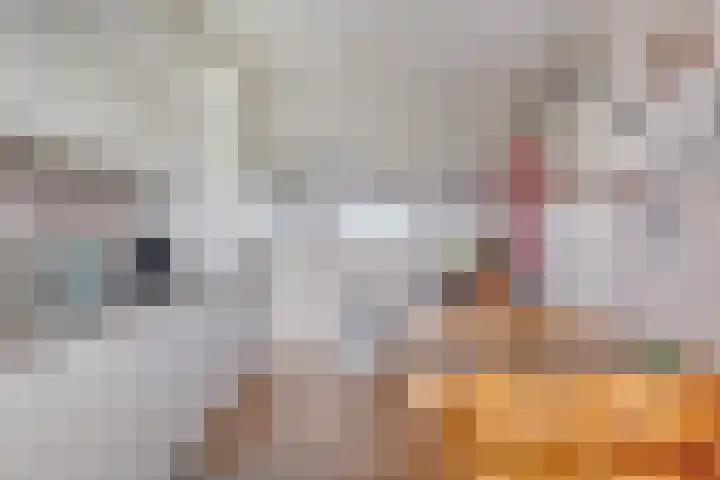 Kievitstraat 28 Leiderdorp thumbnail 18