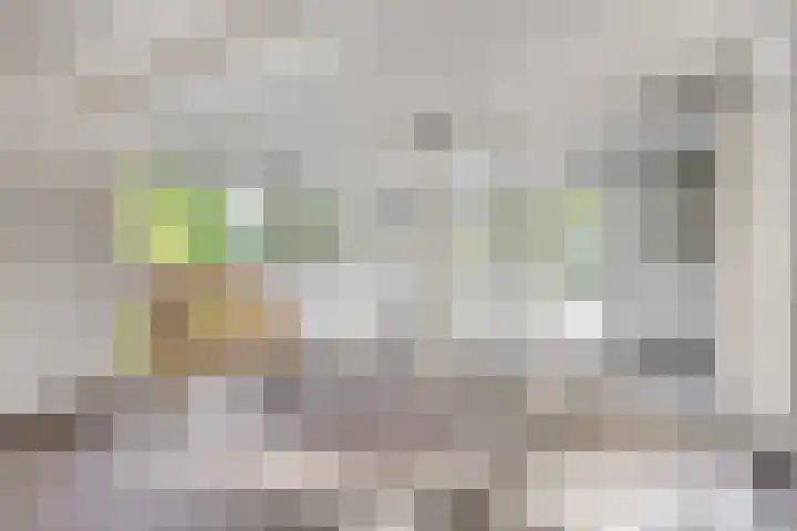 Kievitstraat 28 Leiderdorp thumbnail 6