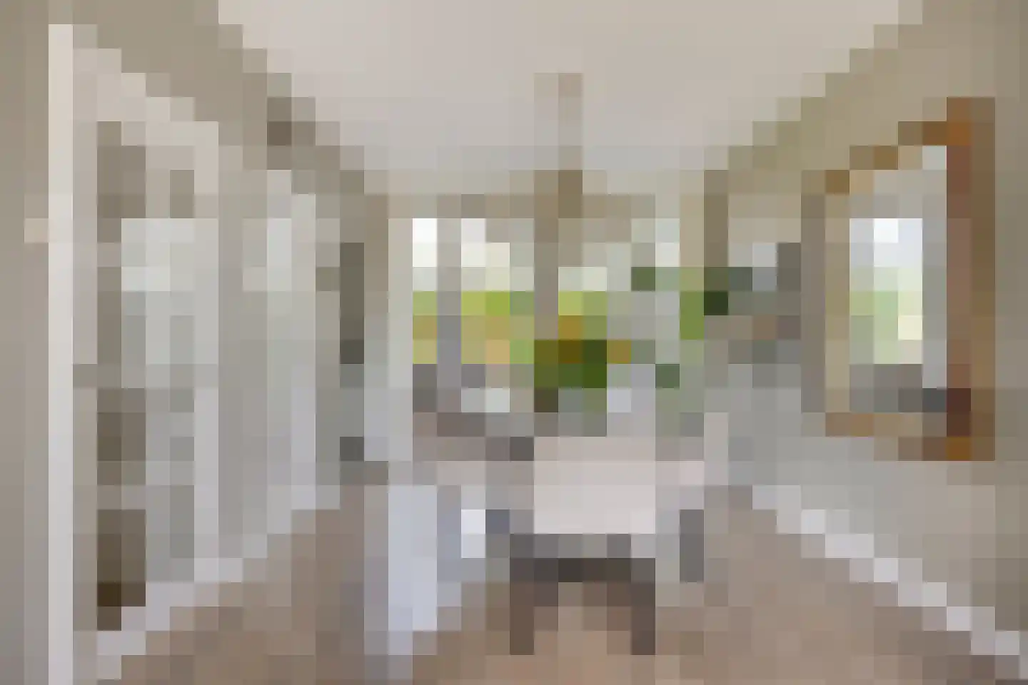 Kievitstraat 29 Helmond thumbnail 18